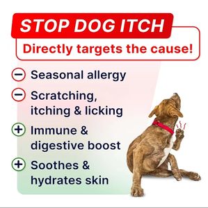 כלבים חתולים לחיות מחמד פינוקים מזון oem/אום הסיטונאי מזון מעורב סיטוני אומגה 3 עבור לוחיות מחמד רכה - Product Image 2