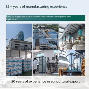 Hoja de PC de invernaderos agrícolas multitramo, bacterias EM pequeñas para la mejora del suelo, raíces fuertes, frutos abundantes, mayor rendimiento - Product Image 3