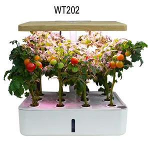 家庭阳台自动浇水蔬菜花植物生长管道式 hydroponic 无土栽培设备
