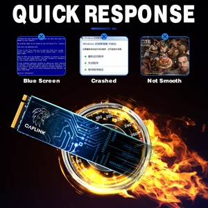 批发Caplink P680 PRO 1TB NVMe M.2 SSD 内置SSD 读取速度2100-3500MB/s 写入速度1500-3100MB/s 3年保修 适用于笔记本电脑和台式电脑 - Product Image 5