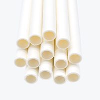 Usine blanc bagasse pailles 8 pouces 100% biodégradable canne à sucre bagasse pailles à boire maison compostable