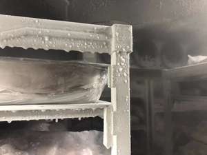 ตู้แช่แข็ง <span class=keywords><strong>NSF</strong></span> ชั้นวางอาหารพลาสติกเป็นมิตรต่อสิ่งแวดล้อม - Product Image 4