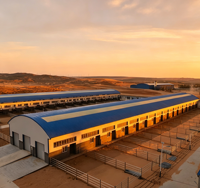 Entrepôt préfabriqué en métal durable à vie, bâtiment en acier à grande portée personnalisé avec poutre en acier H solide