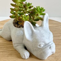 树脂法国斗牛犬多肉植物花盆小狗花盆狗雕像适用于花园阳台装饰桌面摆件