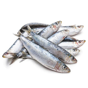 <span class=keywords><strong>Sardinas</strong></span> Congeladas al por Mayor a Bajo <span class=keywords><strong>Precio</strong></span>, <span class=keywords><strong>Sardinas</strong></span> en Bloque IQF en China - Product Image 2