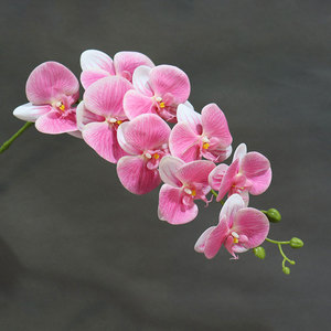 <span class=keywords><strong>Orchidea</strong></span> Phalaenopsis <span class=keywords><strong>Artificiale</strong></span> Grande 90cm con 9 Fiori, Effetto Realistico, per Decorazioni Casa, Matrimoni e Palcoscenici - Product Image 5