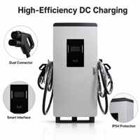 Cargador Público para Vehículos Eléctricos de 120kW CC, OCPP 1.6J, Red Inteligente, Carga Rápida, CCS1/CCS2 Tipo 2, Estación EVSE, Nuevo, IP55 Impermeable, 4G/Wi-Fi