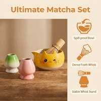 Nouvel ensemble d'accessoires pour la cérémonie du thé japonais, design de chat de dessin animé personnalisé OEM ODM, écologique, pour la préparation du matcha, coffret cadeau tendance