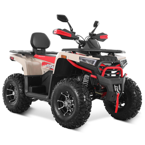 Quadricycle Tao Motor 2025 tout-terrain électrique à injection de carburant automatique 250cc - Product Image 2