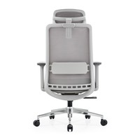 Chaise de bureau ergonomique en maille, réglable et confortable, avec assise haute densité, idéale pour le bureau à domicile, le salon et l'utilisation quotidienne sur ordinateur