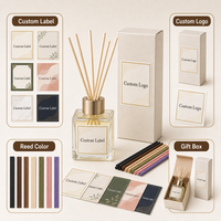 Ensemble diffuseur de parfum en verre personnalisé avec bâtonnets d'huiles essentielles sans plomb, capacité de 50 ml, pour la fragrance d'intérieur