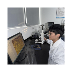 Industrielle Prüf dienste von Dritt anbietern Metall inspektion Nicht metallische Einbeziehung Ent kohlte Schicht Inter granuläre Korrosion - Product Image 2