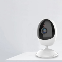 Kamera WIFI ICSee untuk Rumah Pintar, Pengawasan Video Dalam Ruangan, Keamanan Nirkabel, Ukuran Kecil, Kamera CCTV Portabel