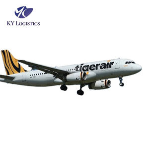 Agen transportasi Tiongkok menyediakan pengiriman udara termurah kargo pintu Global ke pintu Gratis pajak pengiriman belanja Online - Product Image 1