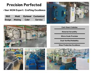 Mim Onderdelen Metalen Spuitgieten Service Voor Roestvrijstalen Precisie-Onderdelen - Product Image 4