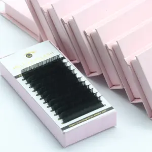 Private Label Russe 0.03 C Lash Classique Cachemire Extensions de Cils Plateau Volume Individuel Lash Mat Noir Extension de Cils