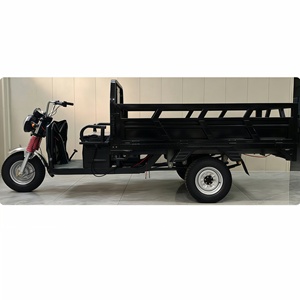 Véhicule <span class=keywords><strong>de</strong></span> transport <span class=keywords><strong>de</strong></span> marchandises en bon état <span class=keywords><strong>de</strong></span> marche, transporteur électrique, capacité 2 tonnes, meilleur prix - Product Image 5