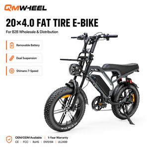 Bicicleta Eléctrica de Montaña QMWHEEL V20 Limited, 48V, Neumáticos Anchos, Frenos Hidráulicos, Doble Suspensión Trasera, Distribuidor Mayorista, Suministro OEM ODM - Product Image 1