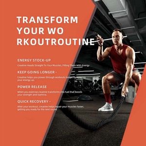 Best-seller OEM Suppléments pré-entraînement pour hommes et femmes Gommes sans OGM L-taurine + vitamine B12 créatine monohydrate - Product Image 5