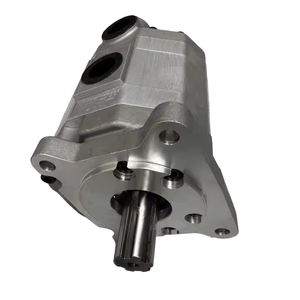 2CB-FC25-25BLHR Doppelzahnradpumpe für Tierhaltungsmaschinen, Hohe Qualität & Günstiger Preis - Product Image 4