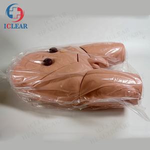 वरिष्ठ पुरुष जननांग कैथीटेराइजेशन सिम्युलेटर - Product Image 3
