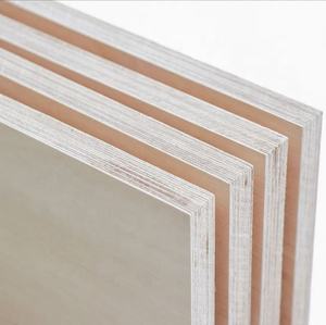 Contreplaqué de bouleau, okoumé, pin, bintangor, cèdre crayon, eucalyptus, noyau de bouleau, 1220X2440mm, 1250X2500mm, 6mm, 8mm, 12mm, 15mm, 18mm - Product Image 4