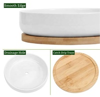 W925 Vente en gros de pots à succulentes suspendus au mur, pots à cactus ovales de 6 pouces en céramique blanche écologique, pot de fleurs avec plateau en bambou, lot de 2