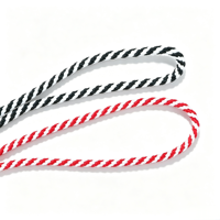 Cordon tressé personnalisé en polyester DTY à 8 brins, creux, 1-12 mm, 350 couleurs, écologique, pour vêtements, sacs et textiles de maison