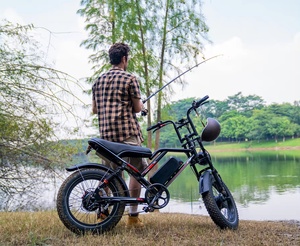 Le vélo électrique le plus branché et le <span class=keywords><strong>meilleur</strong></span> entrepôt de l'UE Dropshipping New S8 1000W Mountain Bike 20 Inch Tire 250W Ebike Electric Bike - Product Image 4