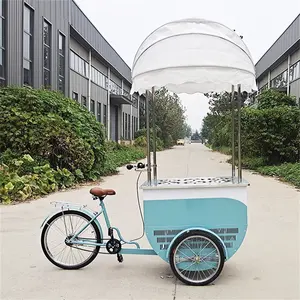 OEM 바퀴 옥외 아이스크림 전시 내각을 가진 이동할 수 있는 자전거 음식 손수레 디자인 판매 손수레