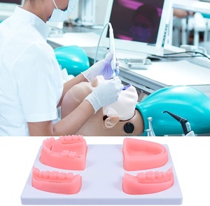 Almohadilla <span class=keywords><strong>de</strong></span> sutura <span class=keywords><strong>de</strong></span> entrenamiento dental OEM, modelo <span class=keywords><strong>de</strong></span> goma personalizable para instituciones médicas - Product Image 6