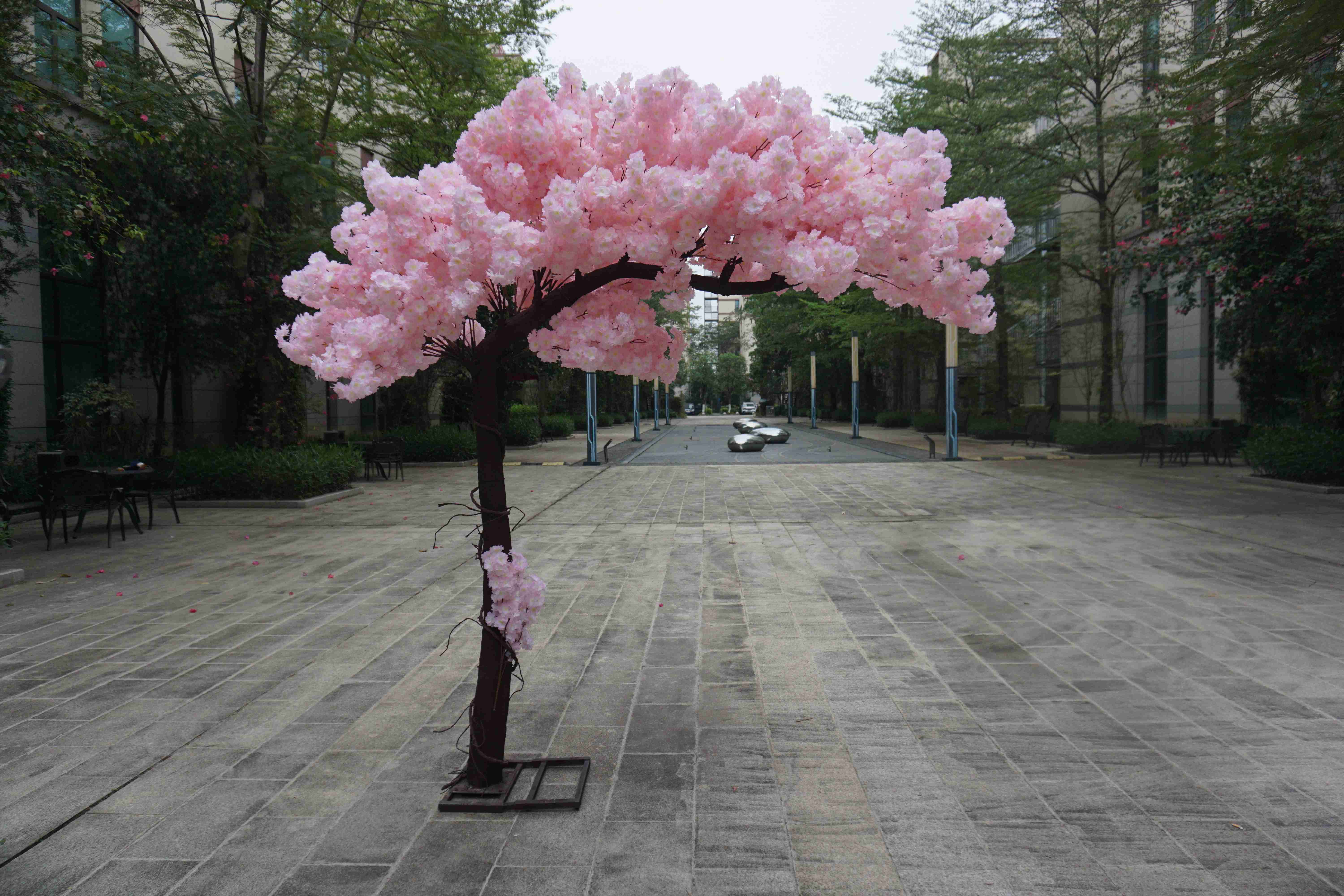 Rose 2,5M