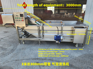 Hot Sale <strong>Vegetable</strong>/Fruits/Mushroom <strong>Production</strong> SUS 304 Material Bubble Washing/Cleaning Line - Product Image 5