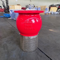 Katup Kaki Manual Besi Cor Baja Tahan Karat Saringan Filter Ujung Flens DN50-700 Sesuai Standar ANSI Struktur Penyegelan EPDM Air