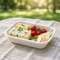 Robuuste, wegwerpbaar, magnetronbestendig, grote capaciteit lunchbox van bagasse voor voedzame maaltijden, milieuvriendelijke verpakkingen