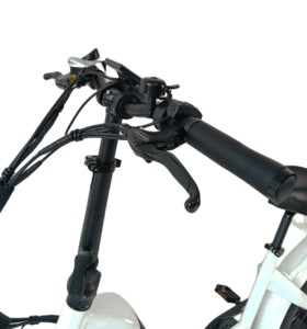 Queene/2023 nuovo stile 750W 20 "<span class=keywords><strong>X</strong></span> 4.0 grasso pneumatico bici elettrica 48V 13/17.5AH <span class=keywords><strong>E</strong></span> Mountain Bike veloce Ebike per adulti - Product Image 4