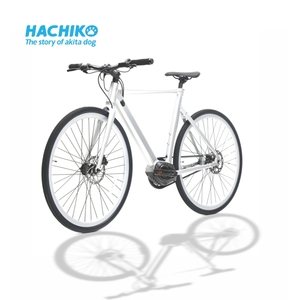Vélo de route personnalisable haut de gamme 2024, moteur central 250W, batterie lithium, super léger, vélo de ville Longsword - Product Image 3