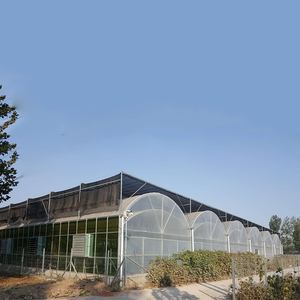 Struttura per Serra Agricola Multispazio, Tunnel per Coltivazione di Ortaggi, Serra in Policarbonato Multi-Campata, Serra per Fiori - Product Image 4