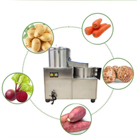 Commerciële elektrische aardappel- en groentesnijder van roestvrij staal met motor voor het snijden van groenten/fruit en friet