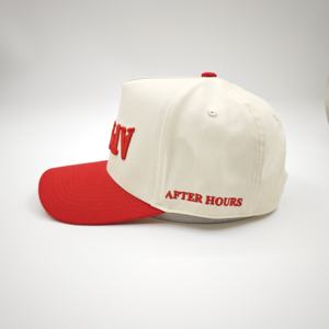 หมวกแก๊ปแฟชั่นกลางแจ้ง หมวกปักโลโก้แบบกำหนดเอง หมวกทรัคเกอร์พรีเมียม หมวกกอล์ฟ หมวกเบสบอลคลาสสิคสองสี หมวกโดบี้ลายผลไม้ - Product Image 4