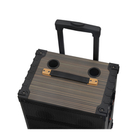 Subwoofer Trolley Kayu 12-Inci Grosir OEM LED Satu Warna 50W HIFI untuk Baterai Isi Ulang Dual Full-Range