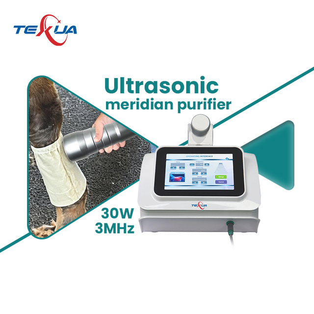 Ultrawave Therapy Pain Physiotherapy Equipment Metal Construction 1 Year Warranty for Animal Rehabilitation Pain Management