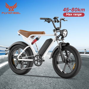 Minimoto Eléctrica Flywheel 48V 750W con Neumáticos Anchos, Alcance Máximo 45-80km - Product Image 1