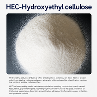 Hydroxyéthylcellulose (HEC) de haute pureté : Agents auxiliaires émulsifiants, épaississants, hydratants et hydrosolubles pour la vente en gros