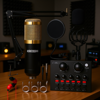 Microphone à condensateur 5 cœurs D0100HXARJX doré avec support de bras pour enregistrement studio et podcast