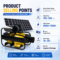 Pompe solaire de surface DC 24V 48V à moteur sans balais, système de circulation d'eau photovoltaïque pour l'irrigation agricole et l'arrosage des cultures