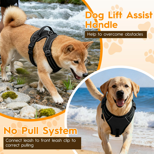 Breathable Soft Mesh Padded Luxury Adjustable Reversible <b>No</b> <b>Pull</b> Custom Reflective Free Sample Nylon Pet Dog <b>Harness</b> Leash Set - Product Image 6