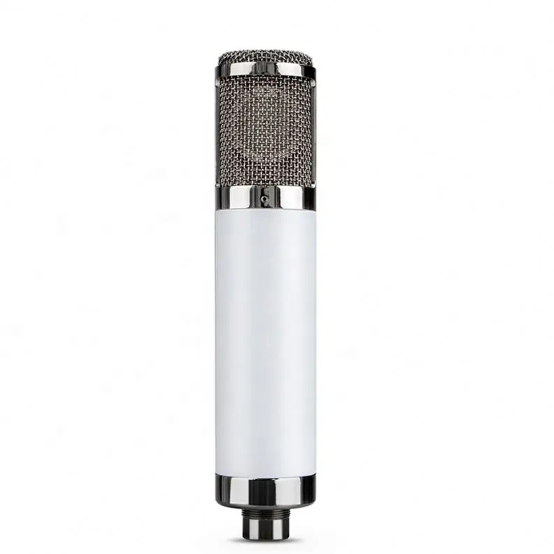 Professionele Grote Diafragma Vocal Microfoon Voor Studio Opname