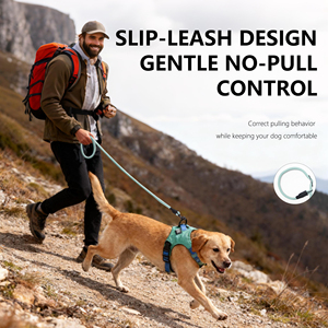 Correa de Nailon Ajustable y Antideslizante de Nunbell Factory, Correa Sólida y Suave sin Tirones, Control con Mosquetón de Aleación de Zinc, Profesional para Perros - Product Image 2