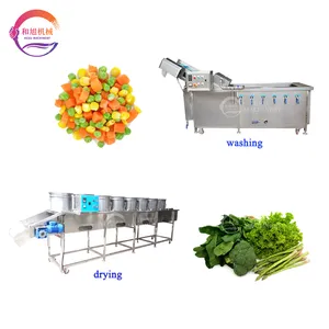 Büyük kapasiteli zencefil patates meyve sebze kabarcık çamaşır makinesi karışık sebze yıkama ve kurutucu meyve cipsi makinesi kurutma makinesi